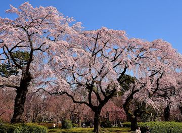 japan/tohoku/attraction/tsutsujigaoka-park