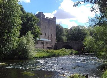 ireland/county-carlow/attraction/boattrips-ie