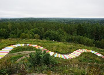 finland/repovesi-national-park/attraction/finland-s-longest-rag-rug-painting