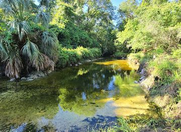 florida/tallahassee-area/attraction/gil-waters-preserve-park