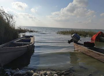 iraq/qadisiyyah/attraction/razzaza-coast