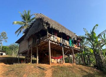 panama/panama-city/attraction/embera-drua-villiage