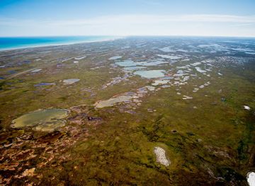 canada/gulf-islands-national-park-reserve/attraction/wapusk-national-park