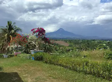Puring's Garden