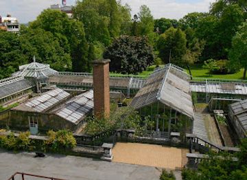 belgium/liege/attraction/botanical-greenhouse