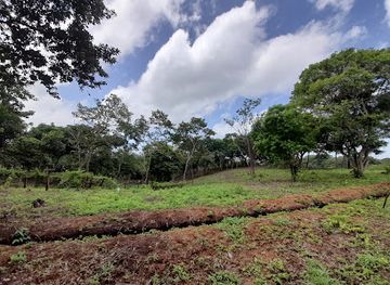 nicaragua/apoyo-lagoon/attraction/finca-buena-vista