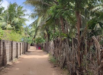 sri-lanka/kalpitiya/attraction/turtle-watching-point