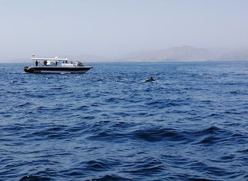 oman/wahiba-sands/attraction/oman-sea-tours-and-events