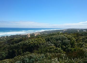 australia/mornington-peninsula/attraction/greens-bush