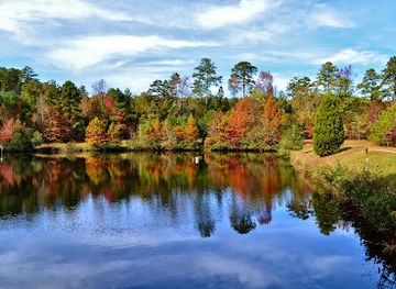 north-carolina/high-country/attraction/clemmons-educational-state-forest