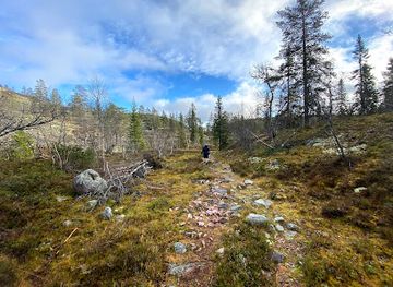 norway/trysil/attraction/fulufjellet-national-park