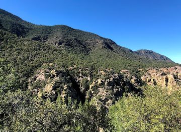 arizona/huachuca-mountains/attraction/miller-peak-wilderness