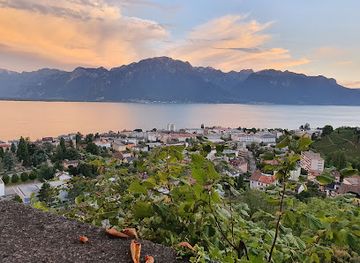 switzerland/vevey/attraction/chatelard-castle