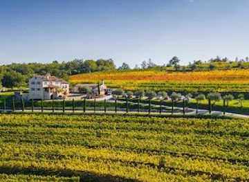 slovenia/piran/attraction/kabola-winery