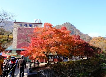 south-korea/naejangsan-national-park/attraction/naejangsan-maple-tree-tunnel