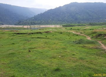 bangladesh/jaflong/attraction/shreepur-tea-garden