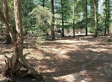 netherlands/sallandse-heuvelrug-national-park/attraction/cabiner-nationaal-park-sallandse-heuvelrug-p1