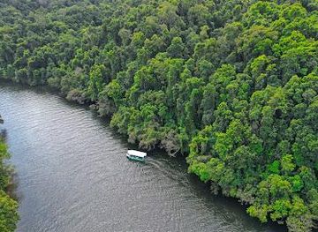 australia/port-douglas/attraction/crocodile-express-greater-daintree-wildlife-cruises-cruise-1-daintree-village