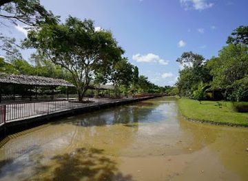 guyana/demerara-mahaica/attraction/hyde-park-zoo-real