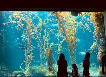 california/coronado/attraction/birch-aquarium