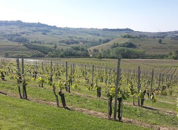 italy/roero/attraction/terre-da-vino-cantine-in-barolo