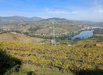 portugal/lamego/attraction/quinta-do-mourao