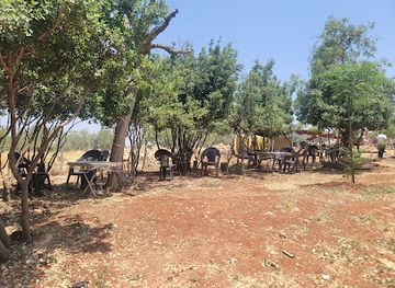 jordan/ajloun-forest-reserve/attraction/astrah tll brqsh