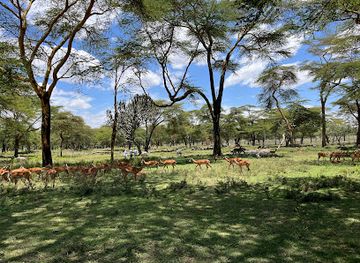 kenya/naivasha/attraction/crescent-island