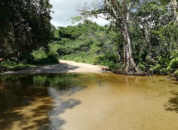 south-africa/isimangaliso-wetland-park/attraction/sodwana-river