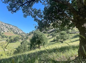 jordan/um-qais/attraction/wadi-bateel-aladheebi-shamal-alurdun