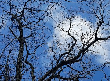 georgia/sighnaghi/attraction/bodbe-reserved-forest