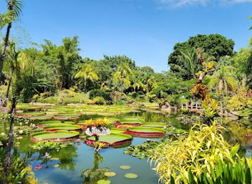 bolivia/pantanal/attraction/la-rinconada-ecoparque-y-restaurante