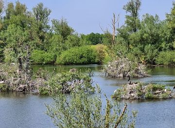 netherlands/betuwe/attraction/blauwe-kamer