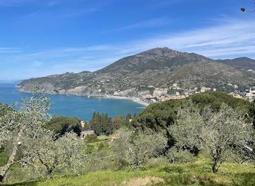 italy/portofino/attraction/sentiero-1-levanto-monterosso