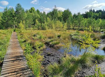 czechia/sumava-national-park/attraction/soumarske-raseliniste