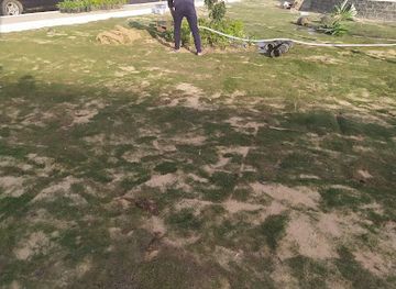 egypt/ismailia/attraction/darawesh-garden