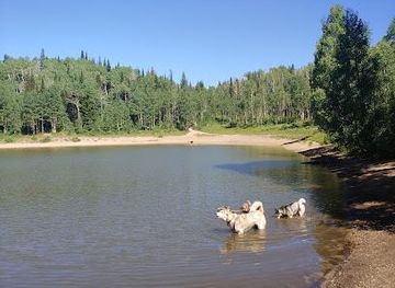 utah/salt-lake-city/attraction/dog-lake