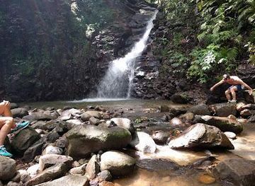 dominica/soufriere/attraction/edmund-forest-reserve