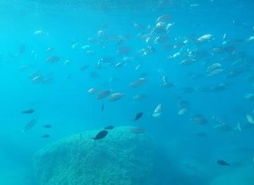 turkiye/marmaris/attraction/poseidon-submarine