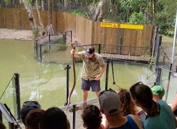 australia/cairns/attraction/beaches-meet-greet