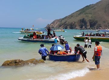 vietnam/quy-nhon/attraction/ky-co-beach