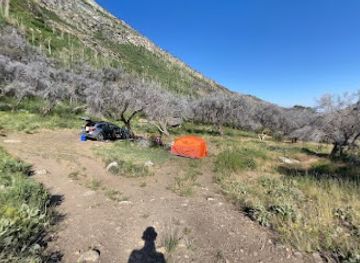 nevada/ruby-mountains/attraction/lamoille-canyon