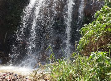 cameroon/banyang-mbo-wildlife-sanctuary/attraction/chute-de-lefog