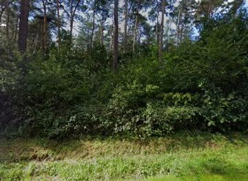 belgium/hoge-kempen-national-park/attraction/zuid-willemsvaart