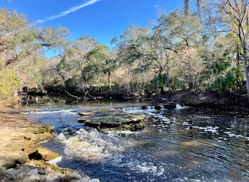 florida/santa-fe-river/attraction/steinhatchee-falls