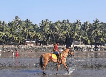 india/konkan-coast/attraction/gorai-beach
