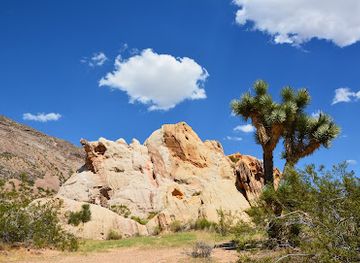 Gold Butte National Monument