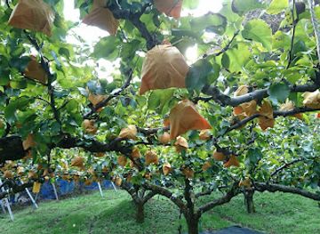 japan/tottori-sand-dunes/attraction/sightseeing-plantation-sono-hashimoto