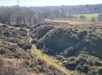 united-kingdom/staffordshire/attraction/gentleshaw-common