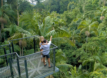 australia/high-country/attraction/tamborine-rainforest-skywalk